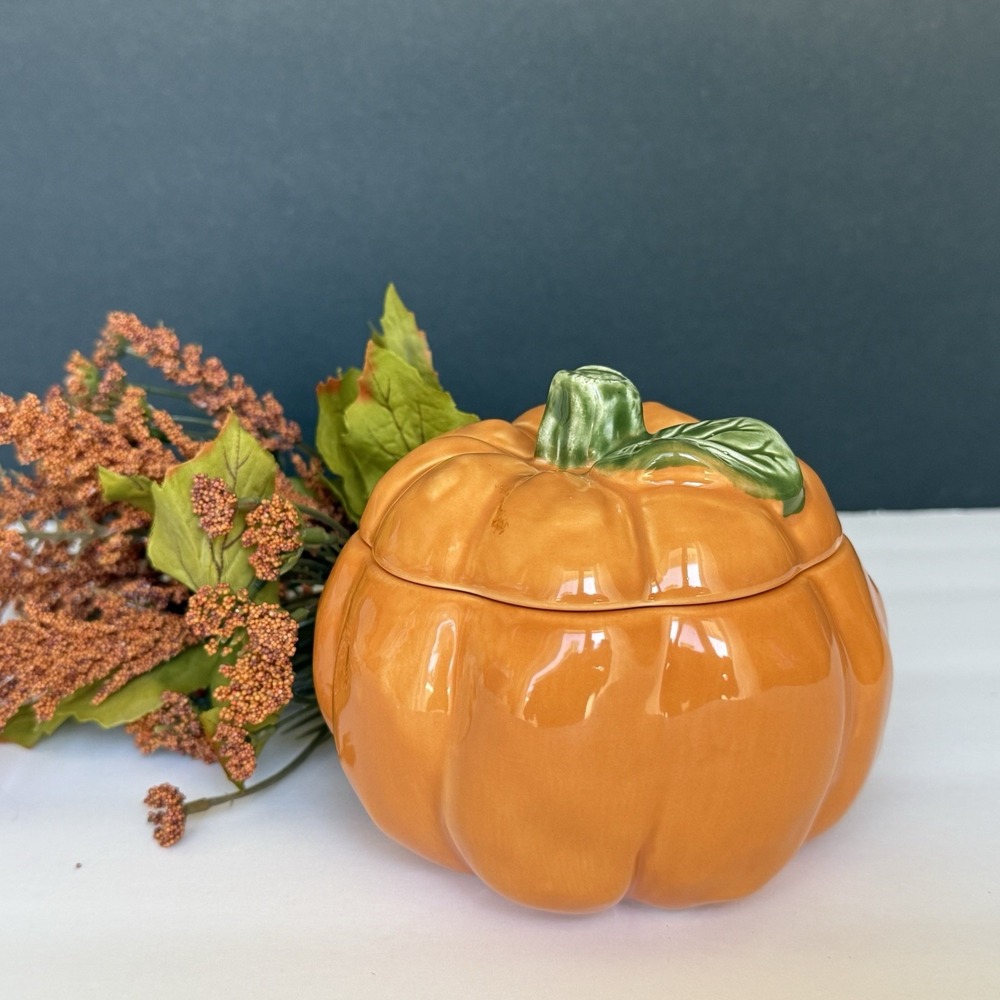 Williams Sonoma Pumpkin Covered Soup Bowl Orange Portugal Fall Thanksgiving